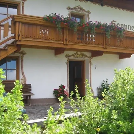 Ferienwohnung Seapner Hof In Innerschmirn Apartment